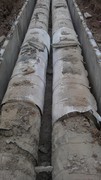 IMAG0248.jpg